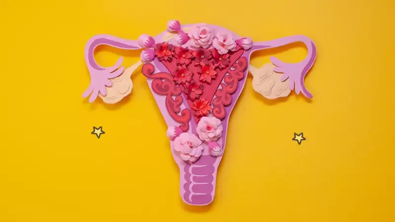 Mengenal Beragam Organ Penting di Sistem Reproduksi Wanita