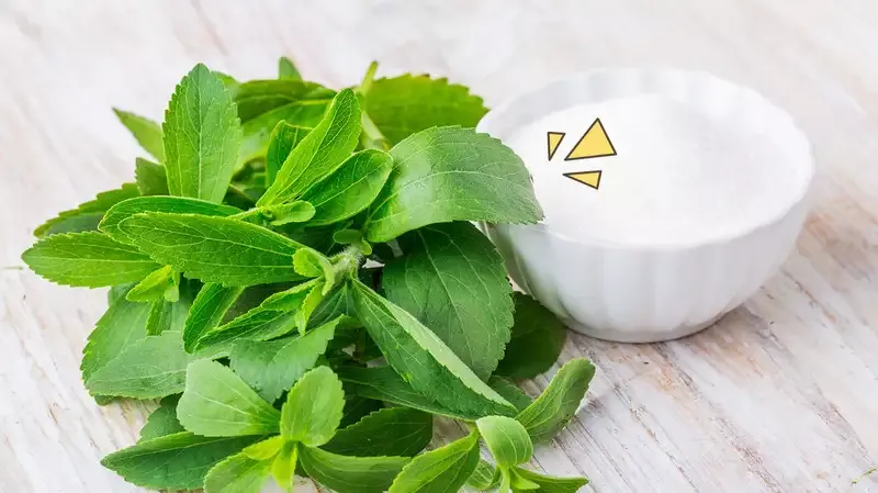 Manfaat Daun Stevia, Pemanis Alami yang Rendah Kalori dan Aman Dikonsumsi |  Orami
