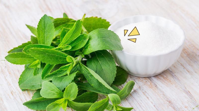 Manfaat Daun Stevia, Pemanis Alami yang Rendah Kalori dan Aman Dikonsumsi
