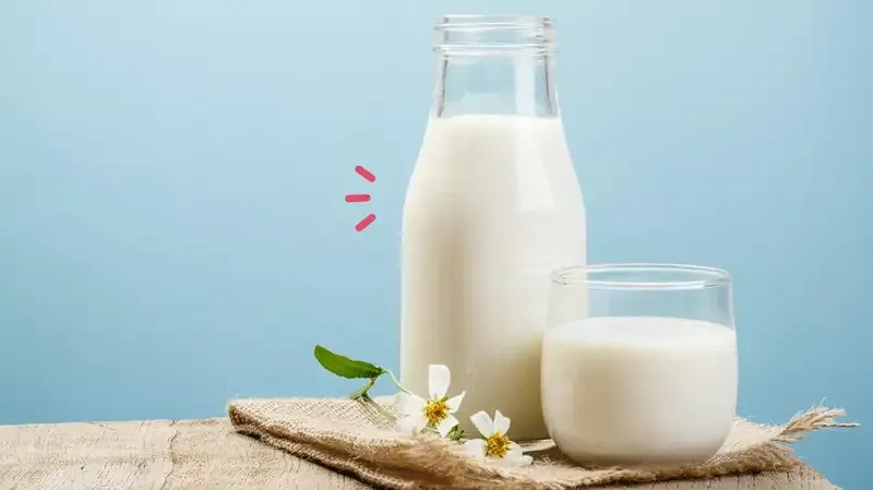 10 Rekomendasi Susu Rendah Lemak untuk Diet, Tinggi Kalsium! | Orami