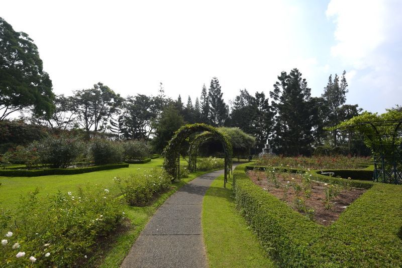 Intip Keindahan Taman Bunga Nusantara di Cianjur, Ada Aneka Bunga hingga Labirin!